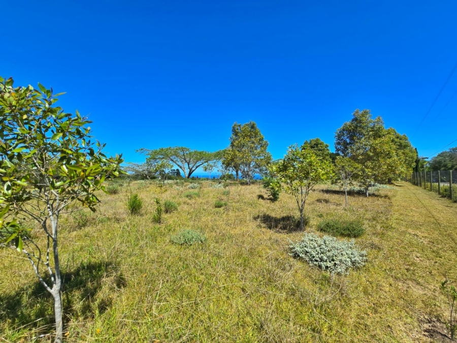 Commercial Property for Sale in Hoekwil Western Cape